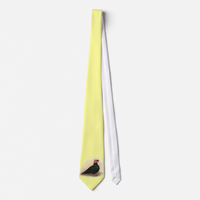 Barb Pigeon Standard Black Tie (Front)