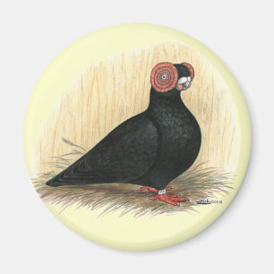 Barb:  Standard Black Magnet