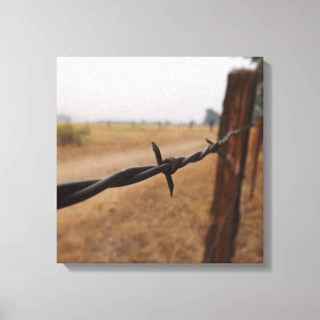Barb Wire Fence Canvas Print (Front)