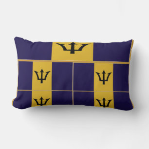 Barbados american mojo pillow