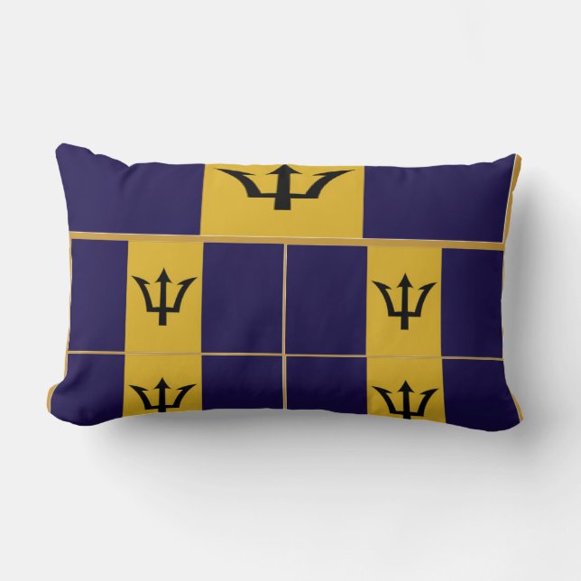 Barbados american mojo pillow (Front)