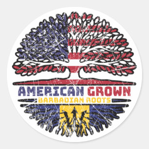 Barbados Barbadian US American USA United States Classic Round Sticker