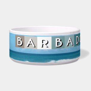Barbados Beach