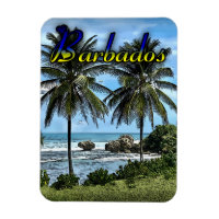 Barbados Beach Palm Trees