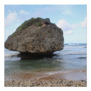 Barbados Big Rock in Bathsheba  Poster