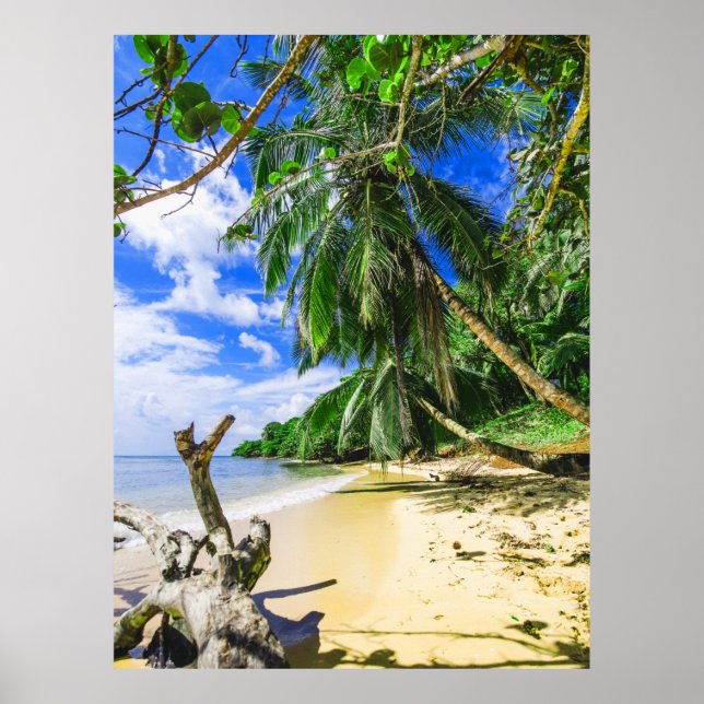 Barbados Caribbean Island Beach Palm Tree Retreat Poster (Front)