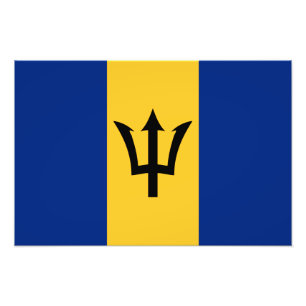 Barbados Flag Photo Print