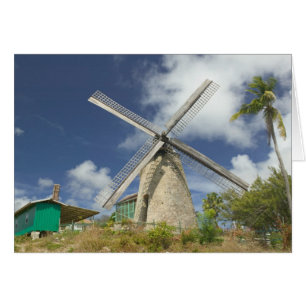 BARBADOS, North East Coast, Morgan Lewis: Morgan