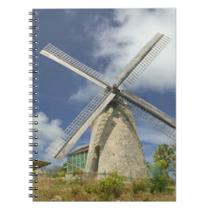 BARBADOS, North East Coast, Morgan Lewis: Morgan Notebook