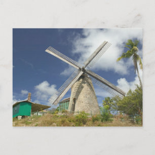 BARBADOS, North East Coast, Morgan Lewis: Morgan Postcard