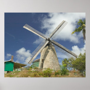 BARBADOS, North East Coast, Morgan Lewis: Morgan Poster