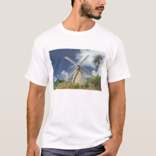 BARBADOS, North East Coast, Morgan Lewis: Morgan T-Shirt
