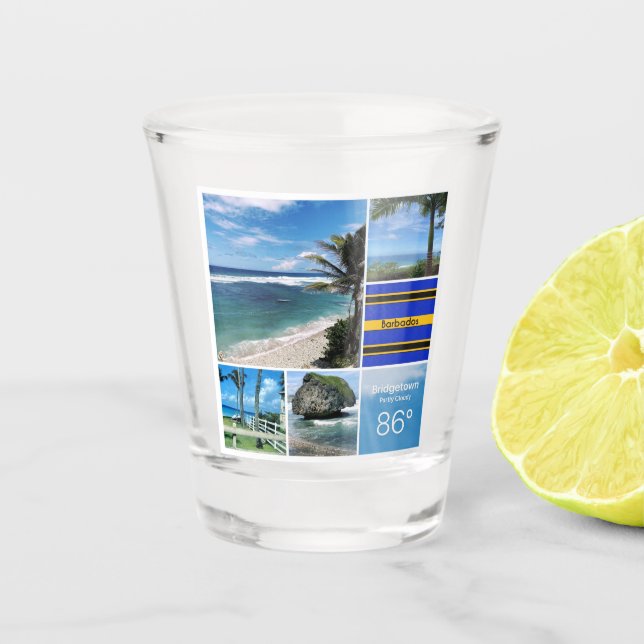 Barbados Ocean Views Shot Glass (Front)