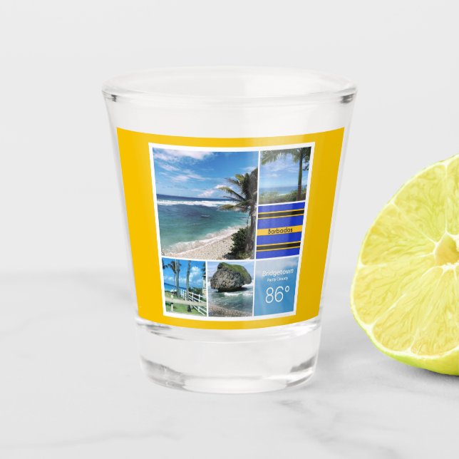 Barbados Ocean Views Shot Glass (Front)