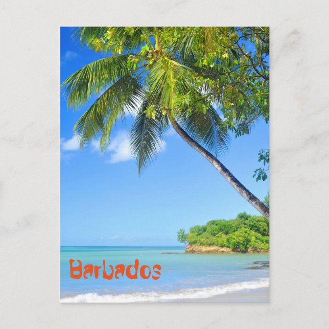 Barbados Postcard (Front)