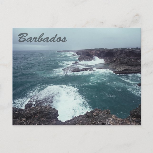 Barbados Postcard (Front)