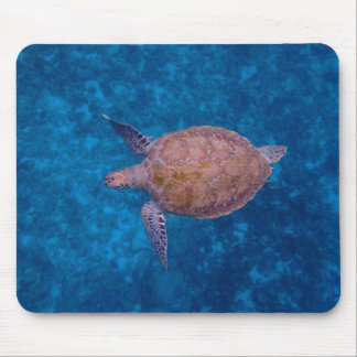 Barbados Sea Turtle Mouse Pad