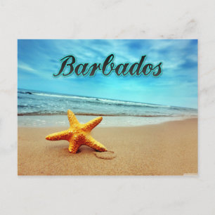 Barbados starfish postcard