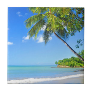 Barbados Tile