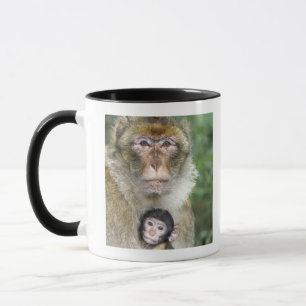 Barbary Macaque . Adulte with babyMacaca Mug
