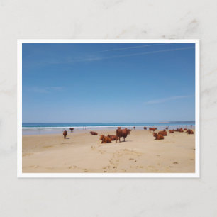 Barbate, Andalusia (Spain) Postcard