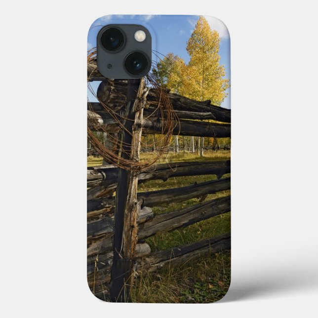 Barbed Wire Case-Mate iPhone Case (Back)