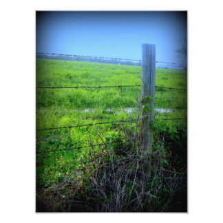 Barbed Wire Fence Photo Print