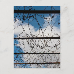 Barbed Wire Fence Postcard