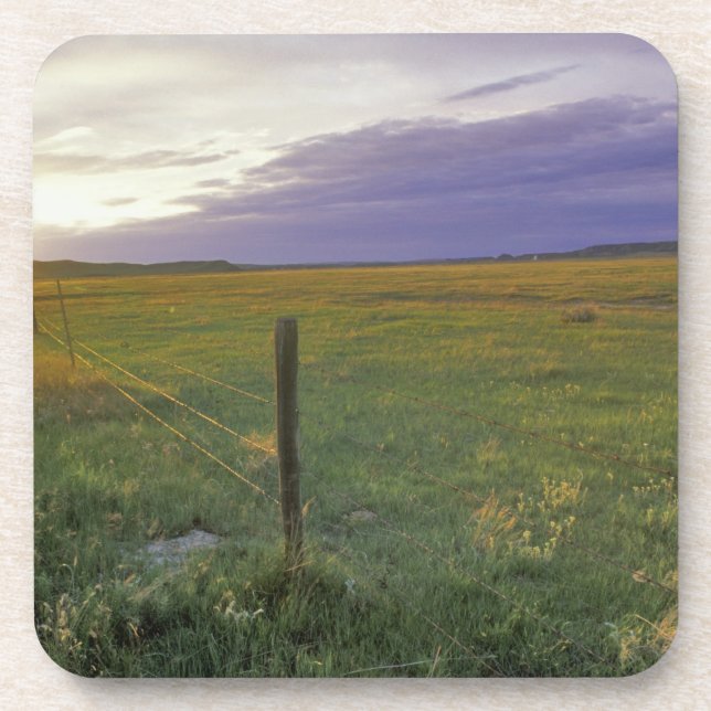 Barbed Wire Fenceline in northeastern Montana Coaster (Front)