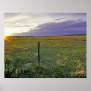 Barbed Wire Fenceline in northeastern Montana Poster