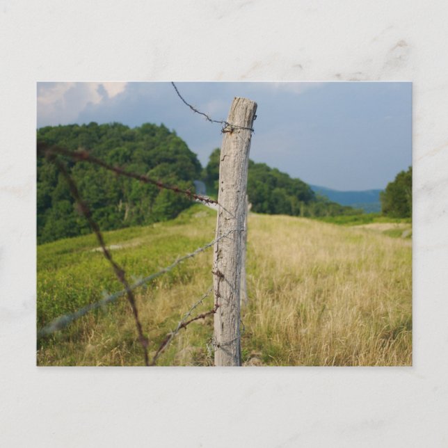 Barbed Wire Fencepost Postcard (Front)