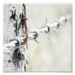 Barbed Wire Hang With A Rusty Nail Photo Print