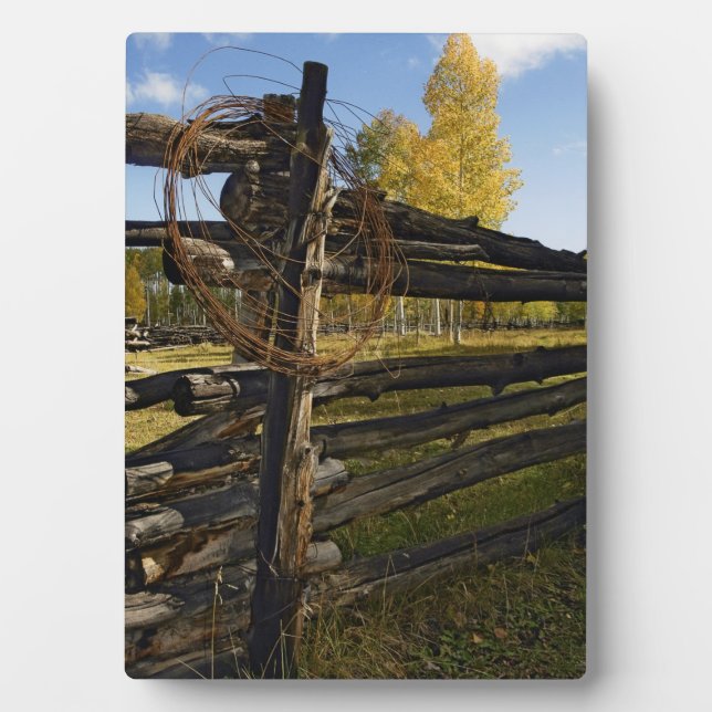 Barbed Wire Plaque (Front)