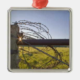 Barbed wire rolled up on fencerow near metal ornament