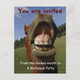 Barbeque Party Invite w/ Funny Horse customisable