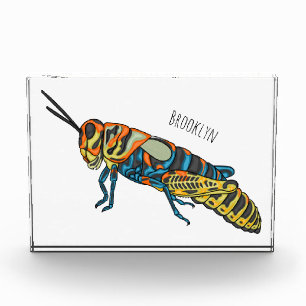 Barber pole grasshopper cartoon illustration photo block