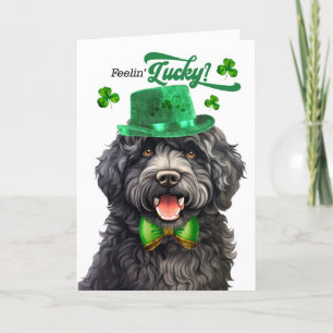 Barbet Dog Feelin' Lucky St Patrick's Day Holiday Card