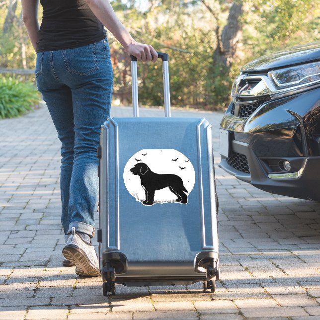 Barbet Dog – Halloween Moon Silhouette Oversized T (Suitcase Insitu)