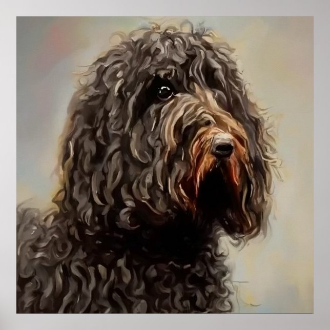 Barbet - Dog Portrait Poster (Front)
