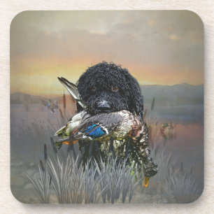 Barbet , 	French Water Dog   Coaster