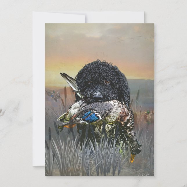 Barbet , 	French Water Dog   Invitation (Front)