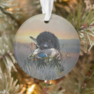 Barbet , 	French Water Dog   Ornament