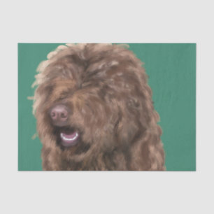 Barbet tissue paper