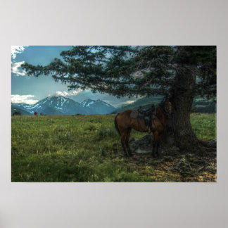 Barbra's Ride Poster