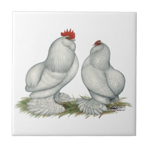 Barbu d'Everberg Chickens Ceramic Tile