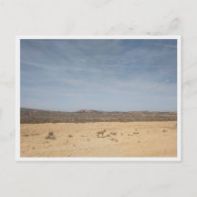 Bardenas Reales (Spain)