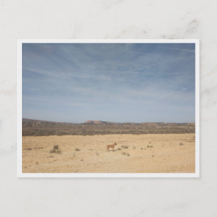 Bardenas Reales (Spain) Postcard