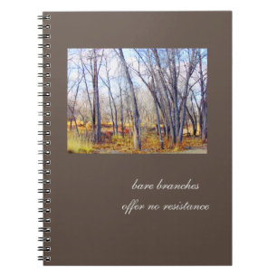 Bare Branches, No Resistance Journal