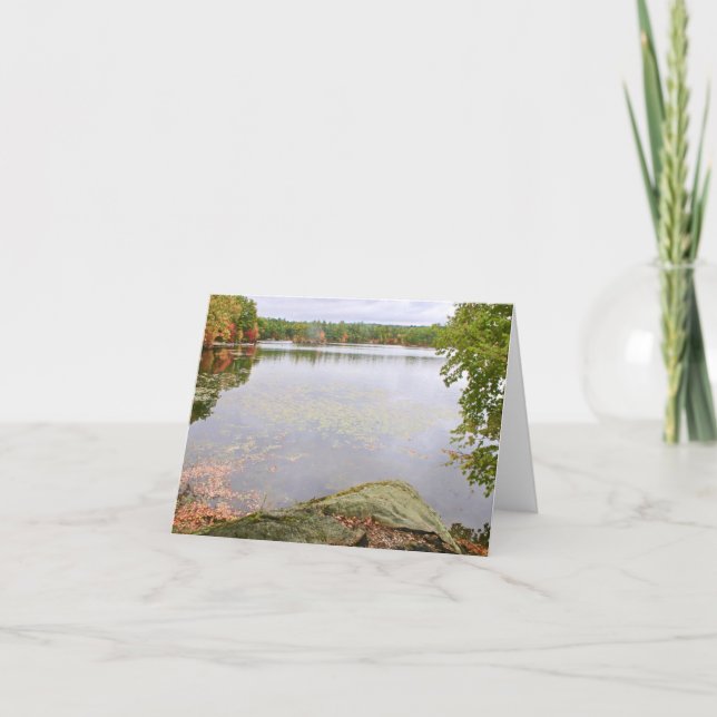 Bare Hill Pond Thank You Card (Front)