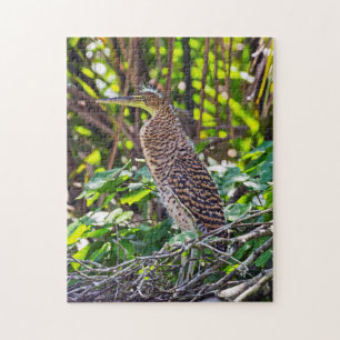Bare-throated Tiger Heron - Tortuguero, Costa Rica Jigsaw Puzzle